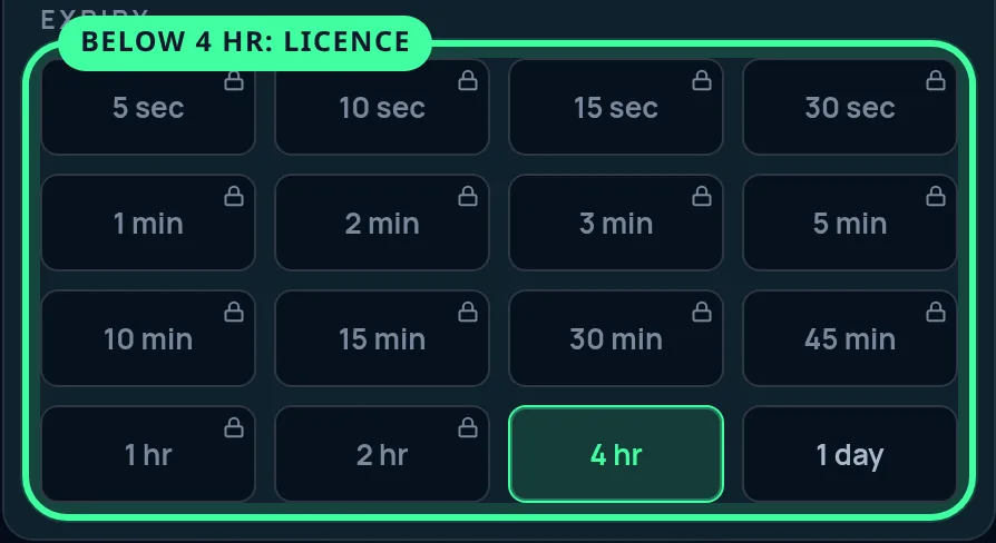 The expiry grid ringed, with a padlock on every chip from 5 sec to 2 hr beside the free 4 hr and 1 day chips.